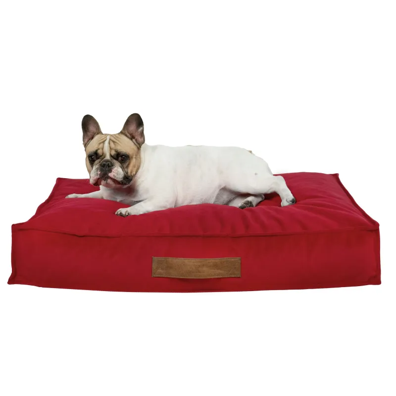 Cama rectangular para perros y gatos 50x60 cm - Terciopelo Soft – vista 25