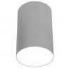 POINT PLEXI PLATEADO L lámpara de techo/foco, diámetro 13 cm 6531