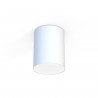 Techo blanco CAMERON WHITE 30 cm 9685