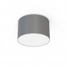 Lámpara de techo CAMERON GRAY gris 45 cm 9683
