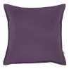 Violeta