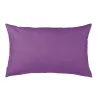 Violeta