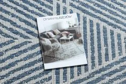 Alfombra COLOR 47176360 SISAL líneas, triangulos, zigzag beige / azul