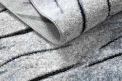 Dywan nowoczesny COZY 8874 Timber, Drzewo, drewno - Strukturalny, dwa poziomy runa szary / niebieski