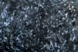 Alfombra lavable ANDRE 1058 Ornamento, vintage antideslizante - negro / azul