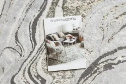 Dywan LIRA E1686 Abstrakcja, strukturalny, nowoczesny, glamour - szary / złoty