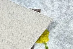 Dywan do prania JUNIOR 51858.802 Zwierzęta, Afryka dla dzieci, antypoślizgowy - szary