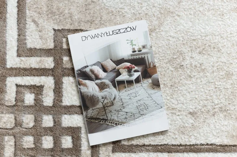 Dywan BLISS Z203AZ138 krem / beż - Ramka, nowoczesny, strukturalny 