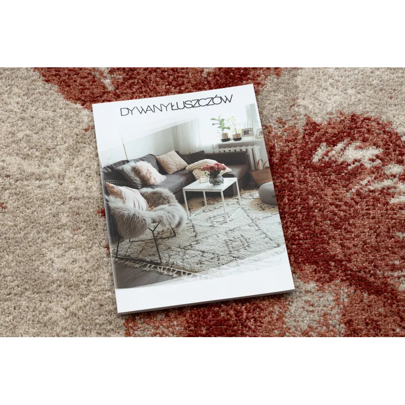 Dywan FUSION 8259 krem / bordo - Kwiaty, nowoczesny, abstrakcyjny