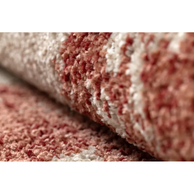 Dywan FUSION 8259 krem / bordo - Kwiaty, nowoczesny, abstrakcyjny